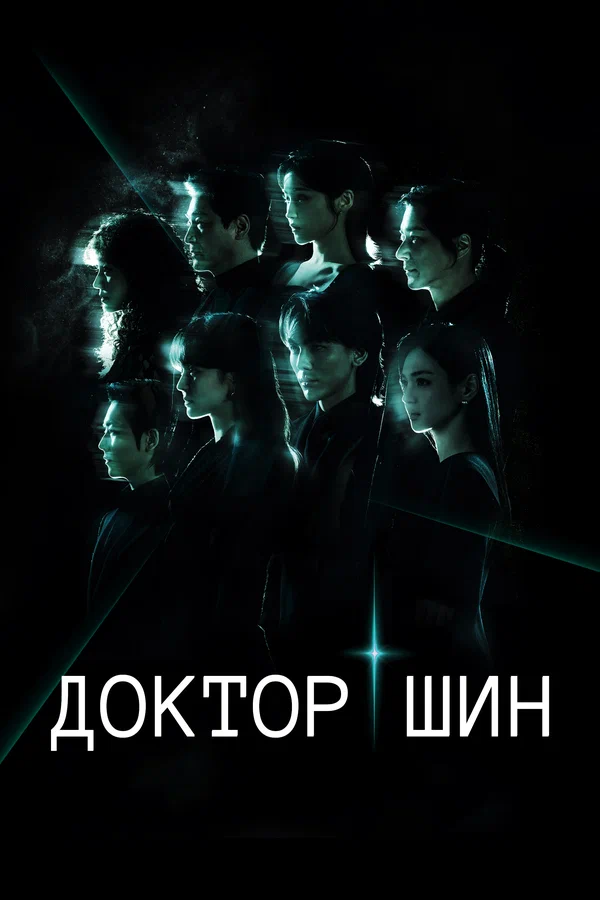 Доктор Шин — постер
