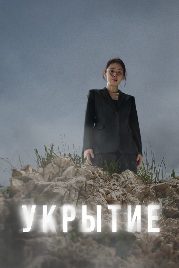 Укрытие — постер