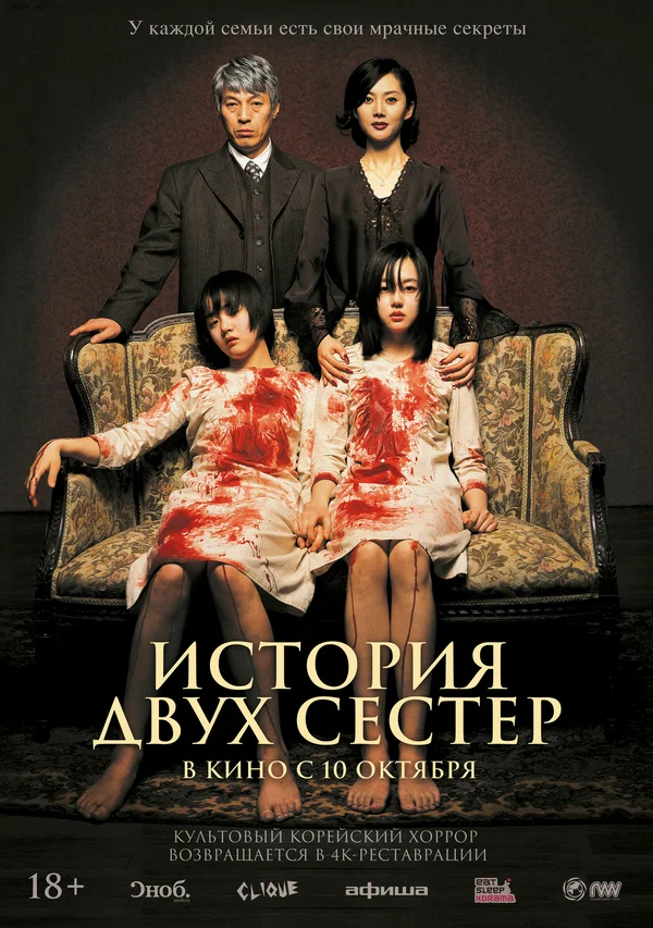 История двух сестёр — постер